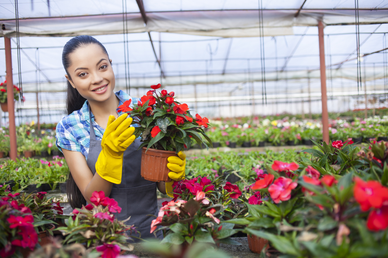 Woman in greenhouse Young asian woman taking care of beautiful flowers